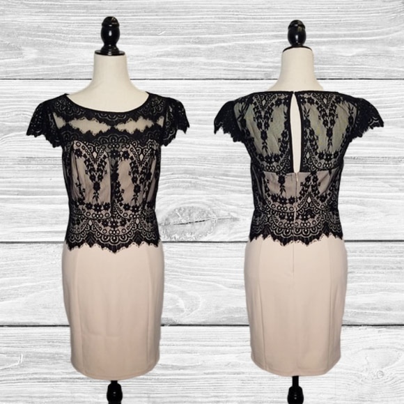 Filly Flair Dresses & Skirts - FILLY FLAIR Fitted Blush Dress W/ Lace Overlay